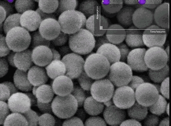 1593423905460350.gif 微信圖片_20200629174456.gif