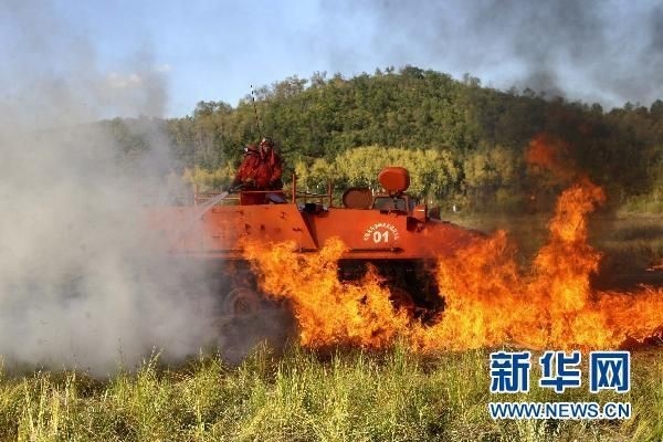 【動畫】森林草原防火“十不準(zhǔn)”“五不燒”！這些安全知識要牢記
