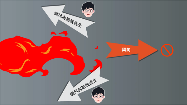 【動畫】森林草原防火“十不準(zhǔn)”“五不燒”！這些安全知識要牢記